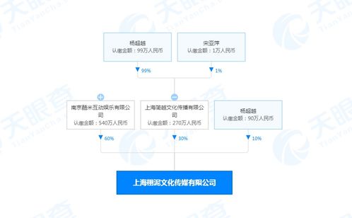 楊超越跨界投資AI領域，新公司布局傳媒與人工智能軟件開發